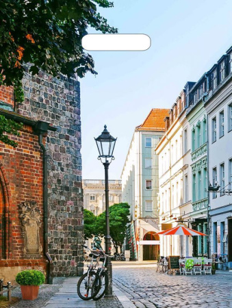 пакеты выр.31х40 Улица ШК