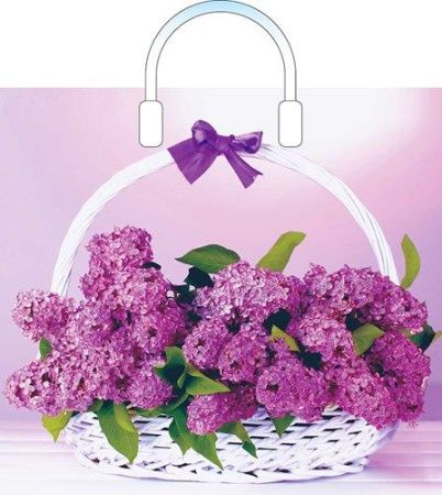 пакет петл.36х40 Уилсон пласт.руч. ШК