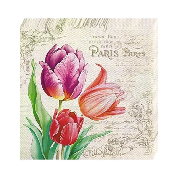 салфетки 3-сл 33х33 АРТ БУКЕТ  Винтажный тюльпан /20