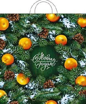 пакет петл. шурш. 38х42 Новогодний базар НГ от производителя в Нижнем Новгороде